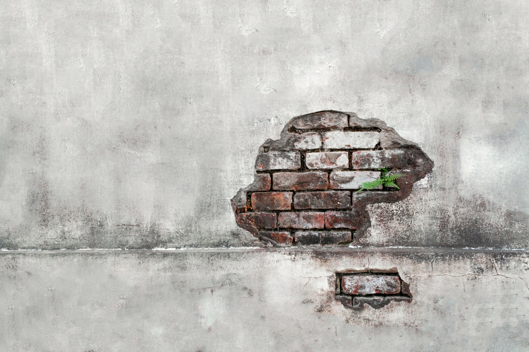 Die Top-5 Fähigkeiten der emotionalen Intelligenz, die für eine erfolgreiche Karriere im Jahr 2025 erforderlich sind: wie man sie in der Praxis entwickelt.